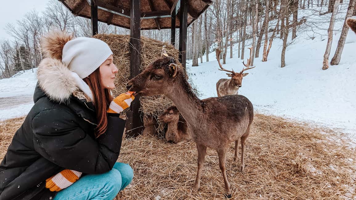 imagem n.20 de Otava: Safari privado de aventura na vida selvagem no Parc Omega atividade em Montebello, carregada pelo fornecedor