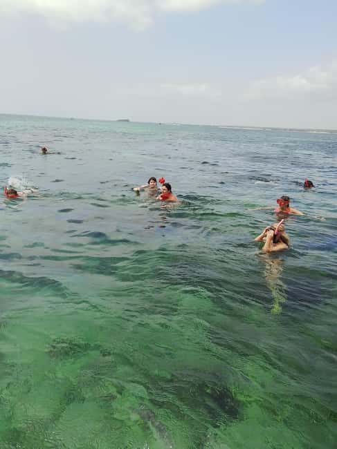 image n.55 of Watamu: tours and excursions activity in Coast Province, uploaded by supplier