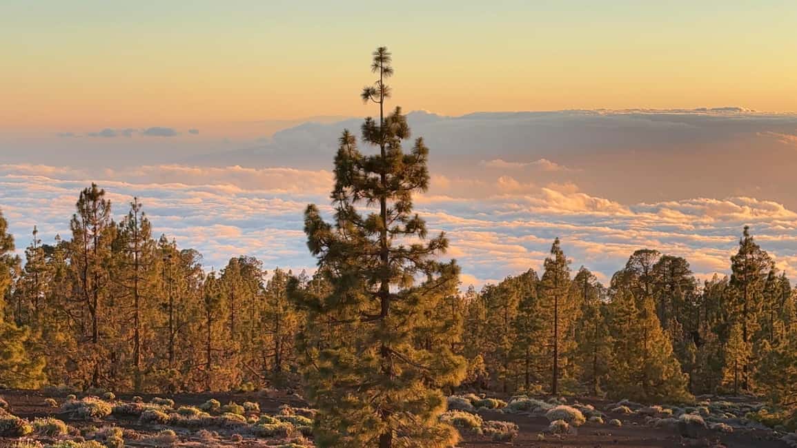 image n.12 of Tenerife: Teide Sunset Adventure with Picnic & Stargazing activity in Santa Cruz de Tenerife, uploaded by supplier