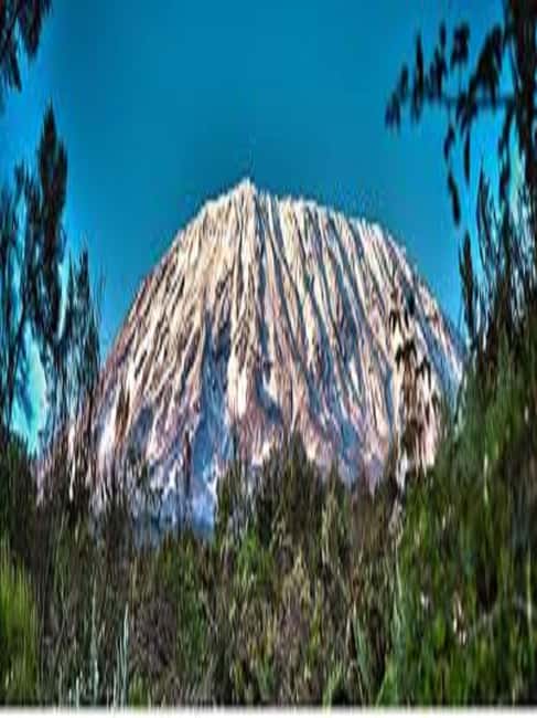 image n.9 of Best Kilimanjaro Day Hike With Car Shira Plateau experience activity in Arusha (Region), uploaded by supplier