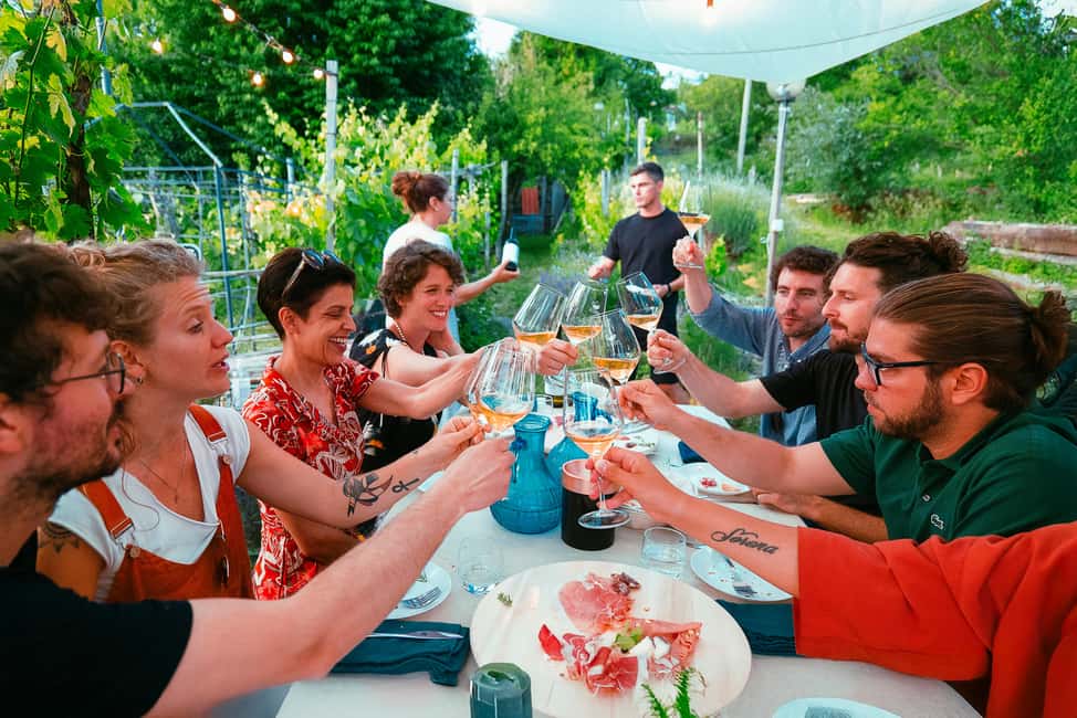 Immagine nº 26 di Trieste: Tour delle origini del Prosecco e degustazioni di 2,5 ore attività a Trieste, caricata dal fornitore
