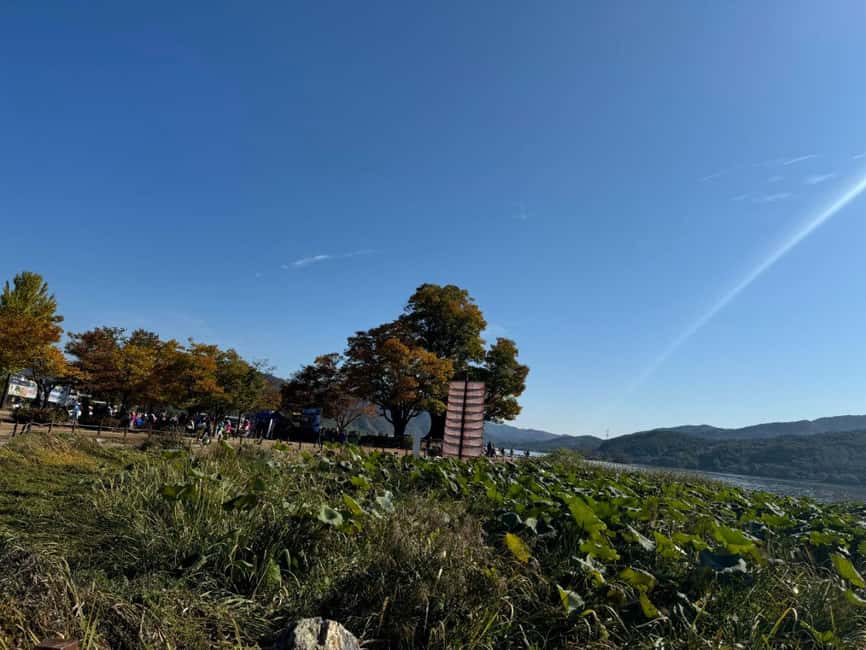 imagen n.º 5 de Excursión de un día a Yangpyeong: naturaleza, arte y cafetería en Yangpyeong actividad en Gapyeong-gun, subida por el proveedor