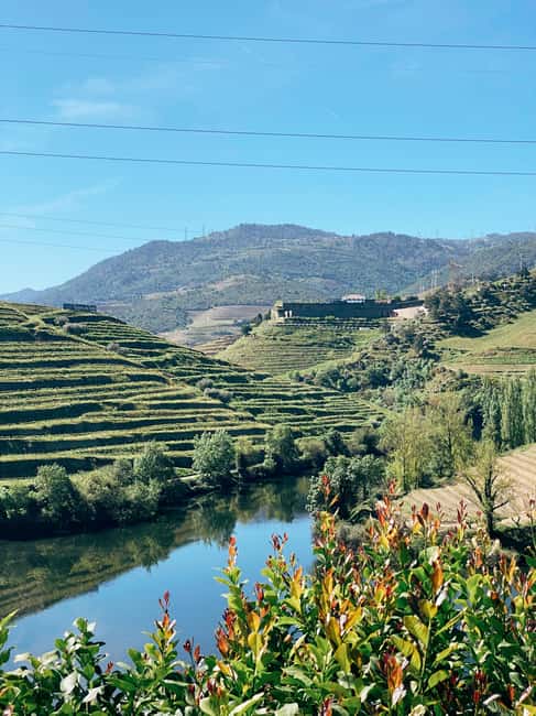 image n.5 of Douro Valley: PRIVATE TOURS with 1 Wine Tasting activity in Lisbon, uploaded by supplier