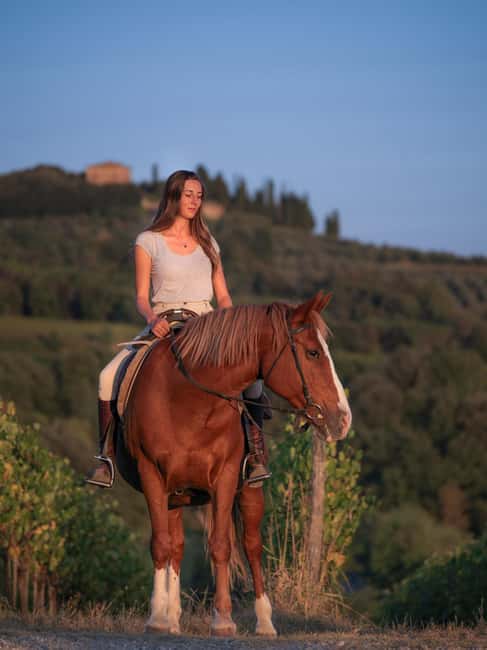 imagen n.º 13 de Siena: Aventura a caballo por la campiña toscana actividad en Siena, subida por el proveedor