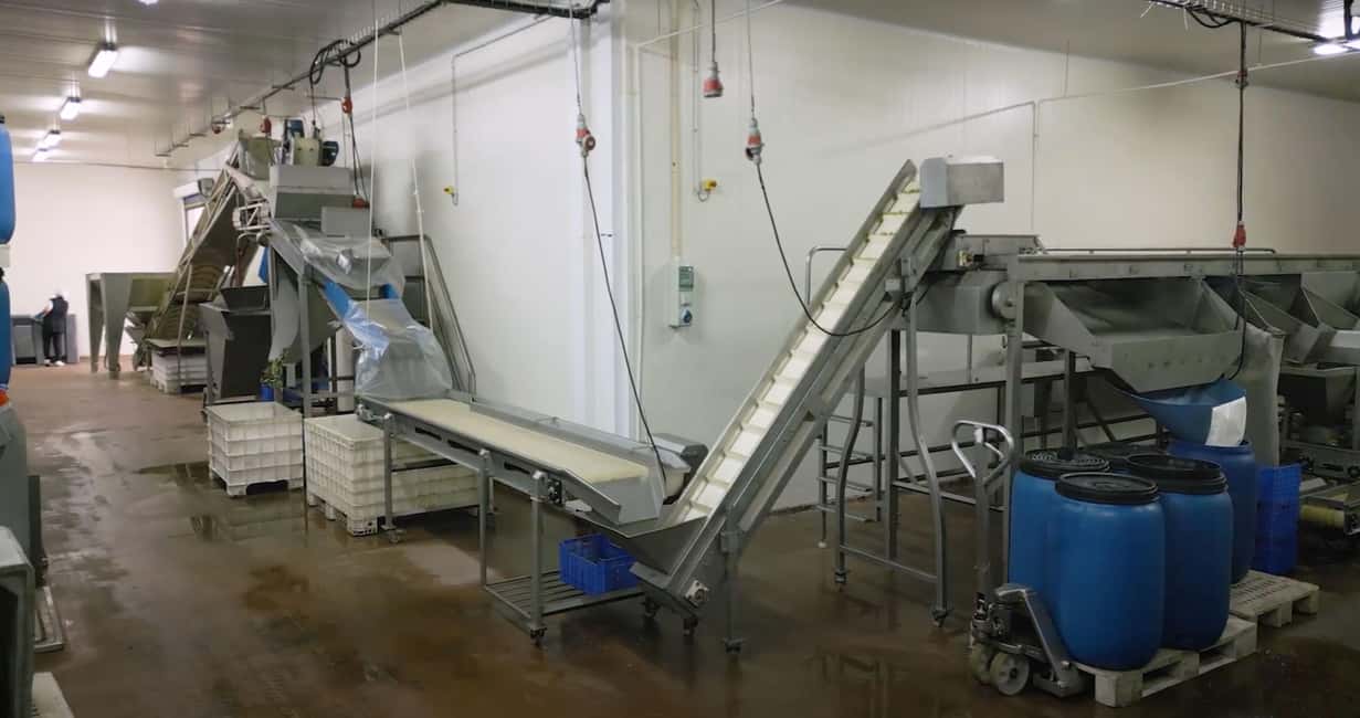image n.2 of Tavira: Olive Experience with Factory Tour and Tasting activity in Tavira, uploaded by supplier
