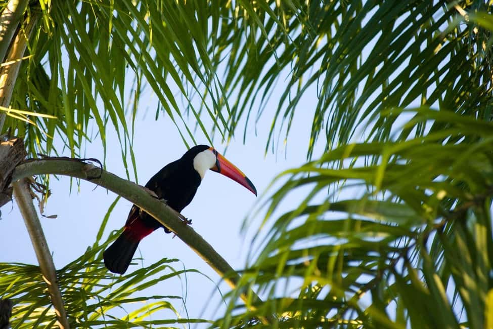 image n.9 of Florianopolis: Lagoinha do Leste Natural Park Hike activity in South Region, Brazil, uploaded by supplier