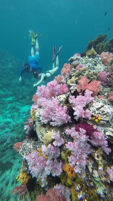 image n.21 of Koh Lipe: Longtail Boat Snorkeling Trip with Lunch activity in Gulf of Thailand, uploaded by supplier
