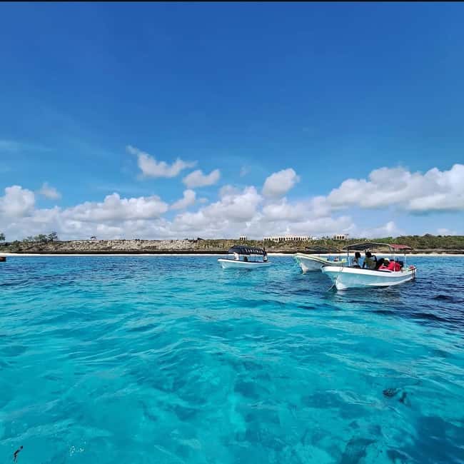 image n.20 of Zanzibar: Blue lagoon, Starfish, Paje Beach and Maalum Cave activity in Pingwe, uploaded by supplier