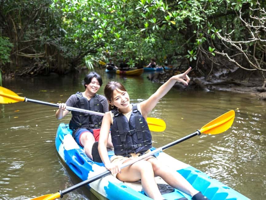 image n.3 of Iriomote island: Mangrove River SUP or Canoe Cruising Tour activity in Taketomi Island, uploaded by supplier