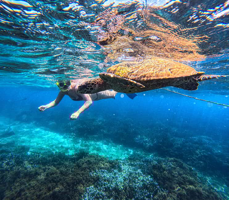 image n.2 of Trincomalee: Whale & Dolphin Tour + Navy Island Snorkeling activity in Trincomalee, uploaded by supplier