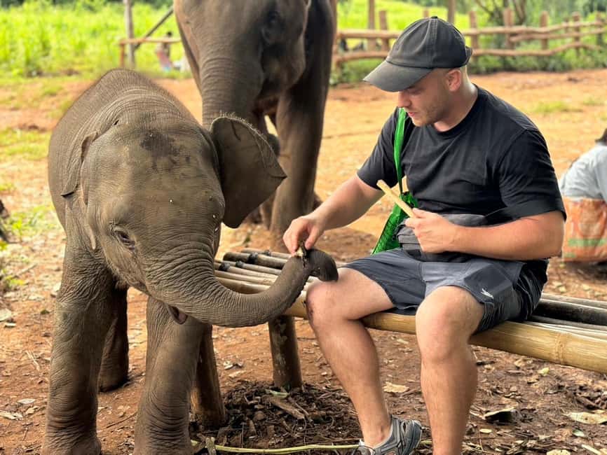 image n.30 of Chiang Mai: Elephant Sanctuary, Waterfall & Bamboo Rafting activity in Chiang Mai, uploaded by supplier