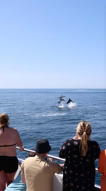 image n.12 of Vilamoura: Boat Tour Dolphin Quest activity in Vilamoura, uploaded by supplier