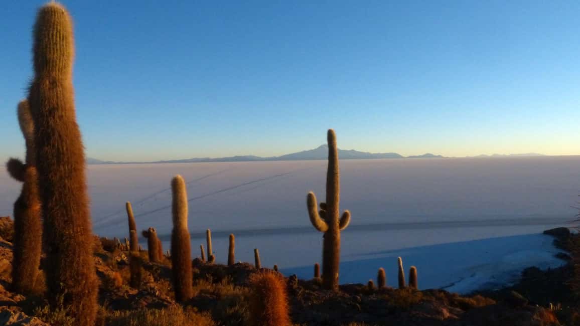 image n.10 of From La Paz: Uyuni Salt Flats & Lagoons 5-Day Tour activity in Sur Lipez Province, uploaded by supplier