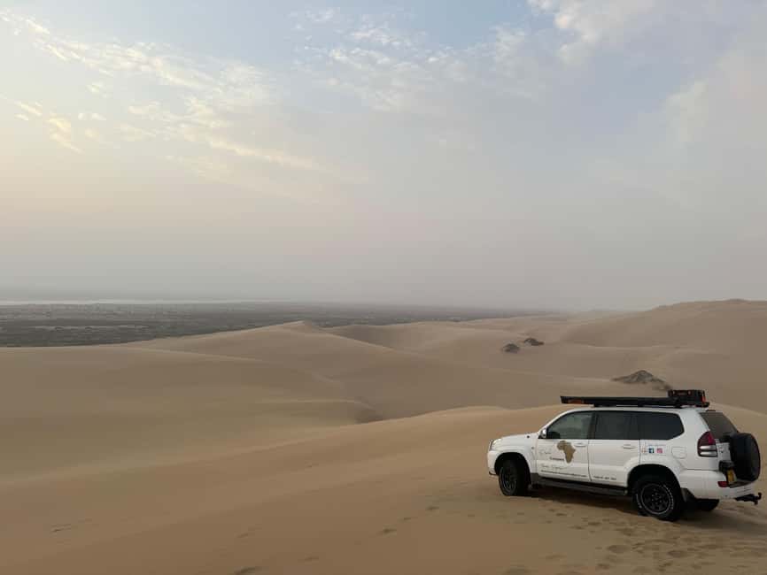image n.40 of Walvisbay: Sandwich Harbour 4x4 Tour-Unparalleled Experience activity in Erongo, uploaded by supplier