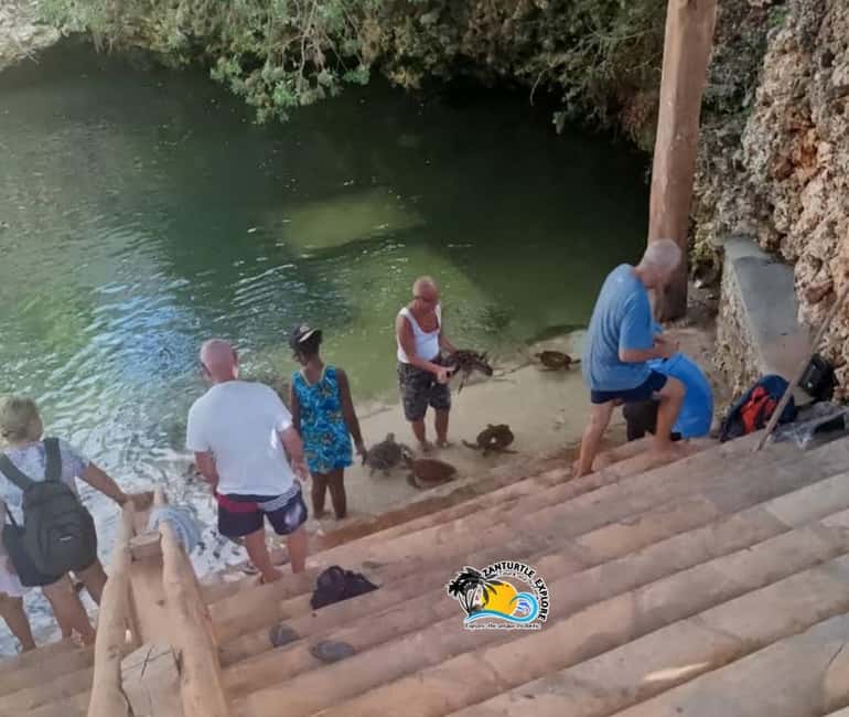image n.16 of Nungwi: Swimming with Turtles at The Lagoons Zanzibar activity in Zanzibar City, uploaded by supplier
