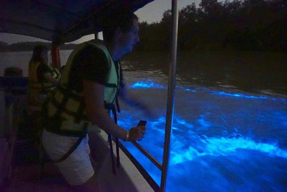 billede nr.7 af aktiviteten Kuala Lumpur: Kuala Selangor Fireflies and Blue Tears Tour i Kuala Selangor, uploadet af udbyder