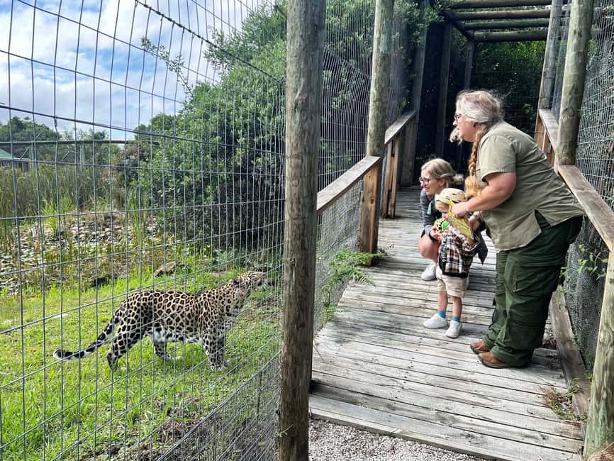 image n.3 of Plettenberg Bay: Wild Cat and Wildlife Guided Tour activity in Plettenberg Bay, uploaded by supplier