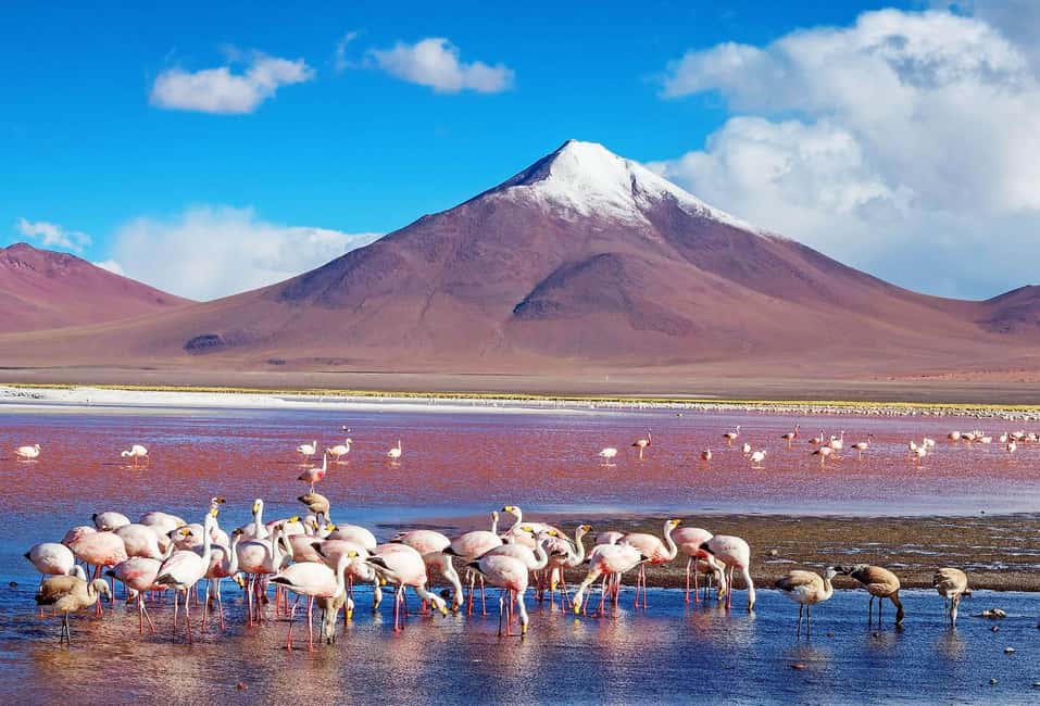 imagem n.6 de De La Paz a Atacama: Excursão de 4 dias ao Salar de Uyuni atividade em Província de Sur Lipez, carregada pelo fornecedor