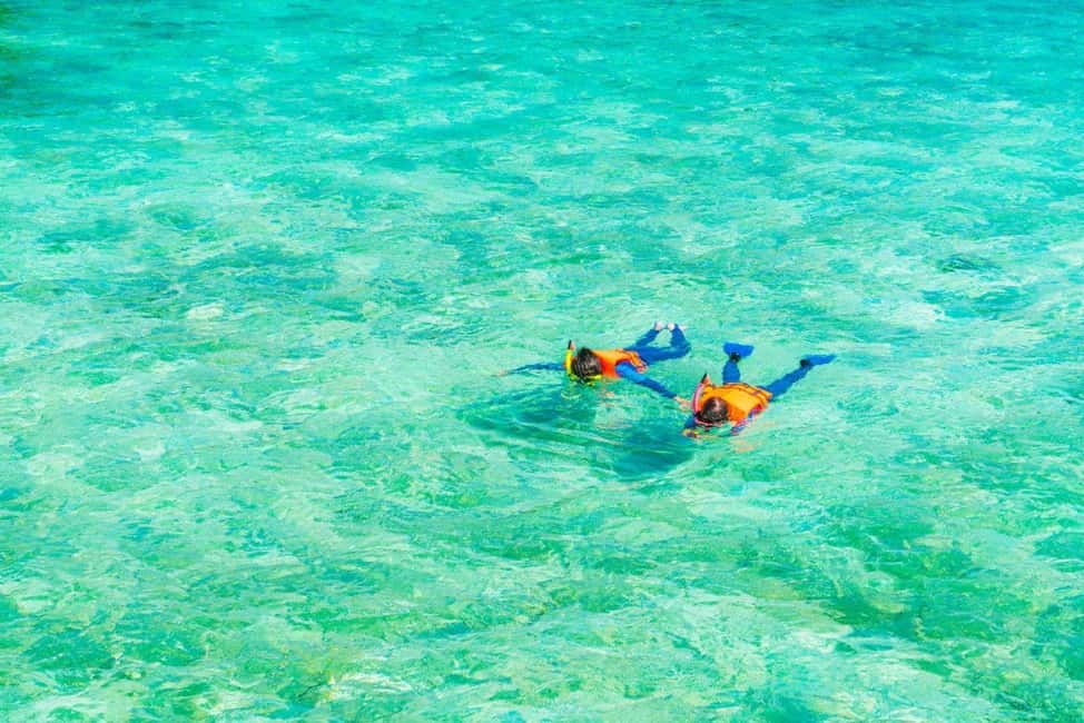 image n.4 of Sharm El-Sheikh: Ras Mohamed Half Day Tour & Allah's gate activity in South Sinai, uploaded by supplier