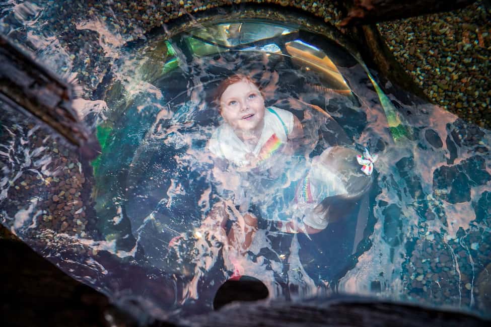 Obraz nr 6 z atrakcji Niagara: Aquarium of Niagara wstęp ogólny w Wodospad Niagara w USA, przesłany przez organizatora