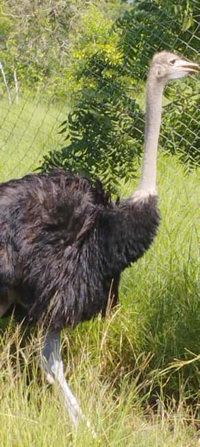 image n.22 of 10 DAYS HISTORY AND ADVENTURE TOUR activity in Accra, uploaded by supplier