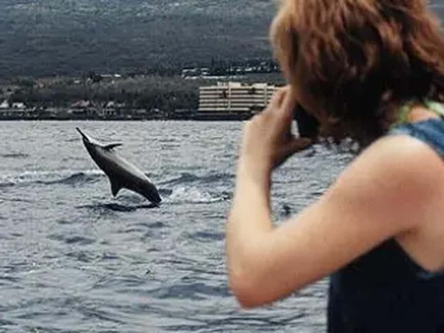 image n.10 of Kona: Captain Cook Snorkel Tour activity in Honaunau-Napoopoo, uploaded by supplier