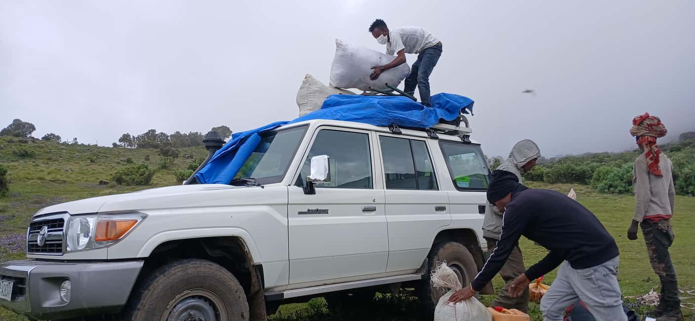 image n.18 of From Gondar: 2-Day Simien Mountains Trekking Tour activity in Gondar, uploaded by supplier