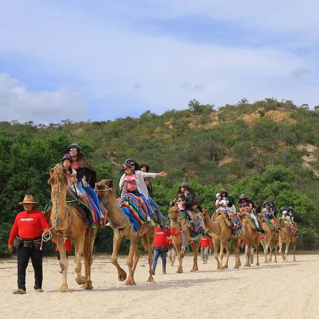 image n.14 of Agadir: Camel Ride With Tea & BBQ Dinner Option activity in Agadir, uploaded by supplier