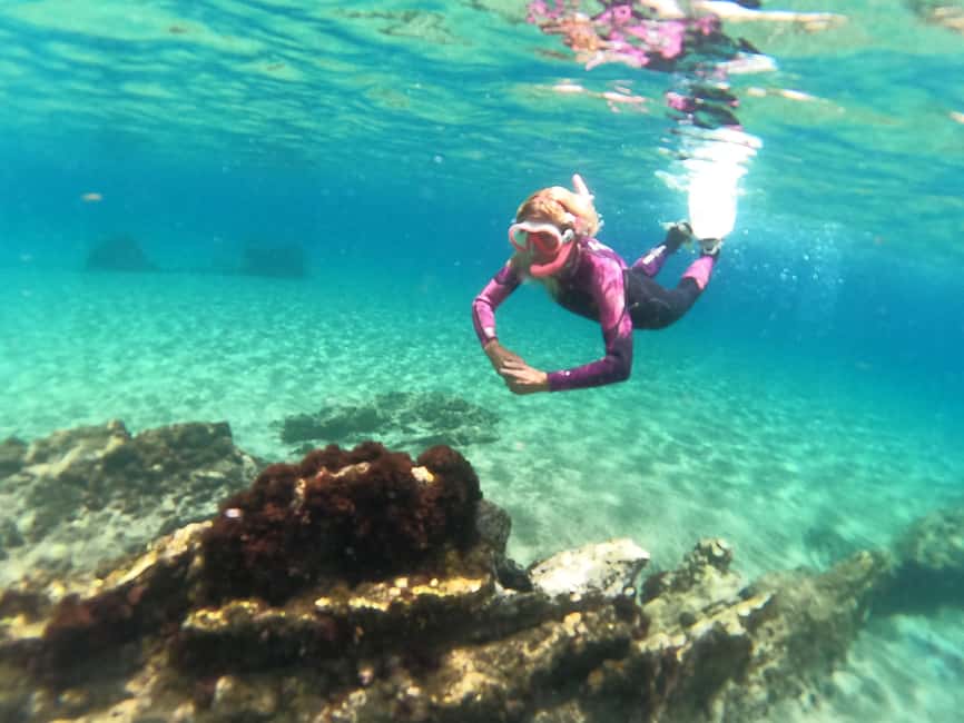 image n.9 of Gran Canaria: Snorkel tour with boat on the west coast activity in Lomo Quiebre, uploaded by supplier