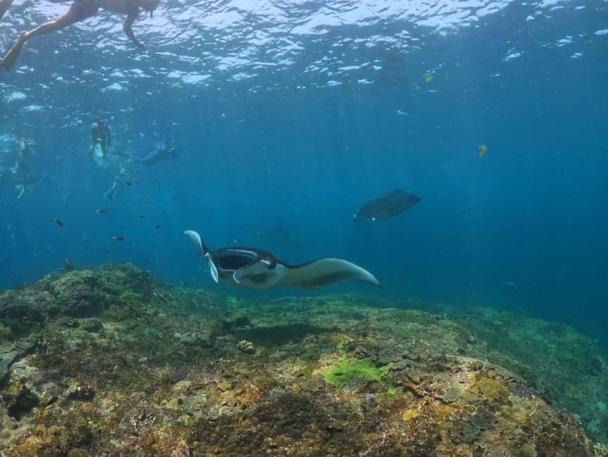 image n.10 of From Bali: 3 Snorkeling Spots Tour to Lembongan and Penida activity in Denpasar, uploaded by supplier