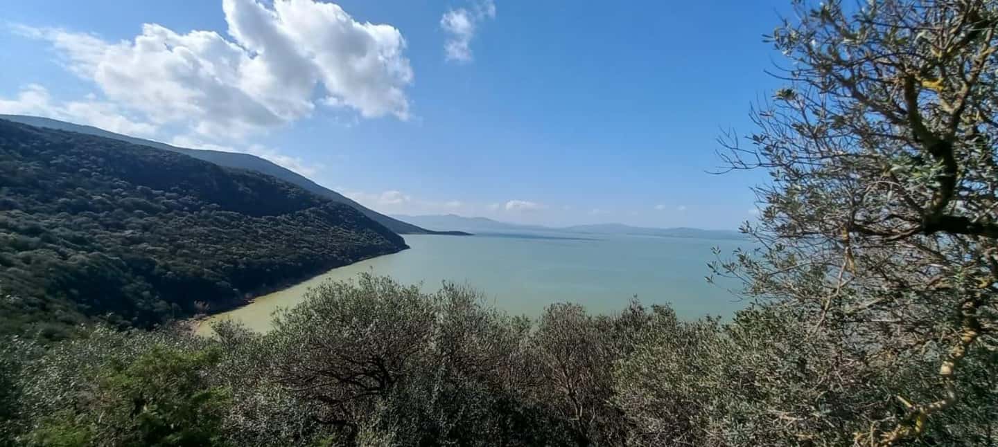 image n.31 of North Africa Tour : Utica-Bizerte-Ichkeul Park(UNESCO) activity in Kairouan, uploaded by supplier