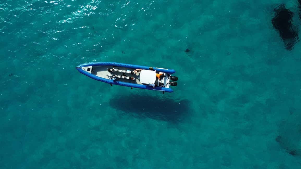 afbeelding n.9 van Nice: Rondvaart Lerins Eilanden met snorkelen activiteit in Cannes, geüpload door aanbieder
