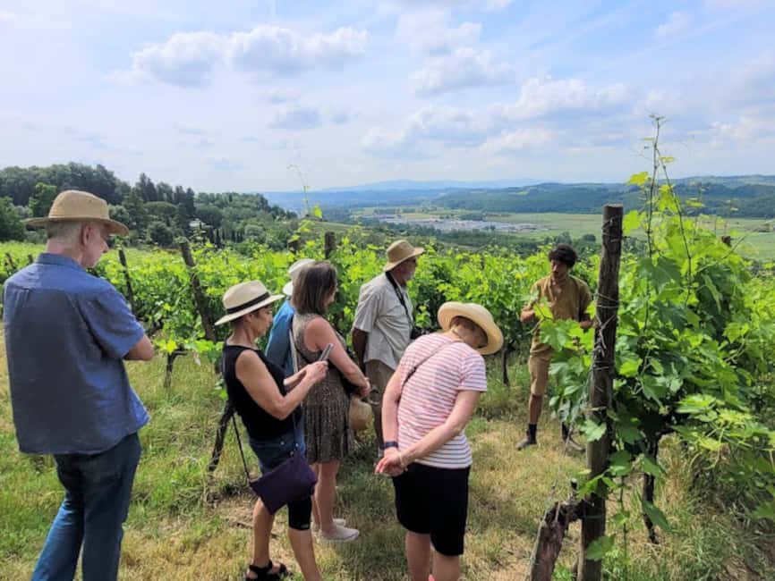 Bild Nr. 12 von Bio-Wein- und Lebensmittelverkostung in der historischen Fattoria Majnoni Aktivität in San Gimignano, hochgeladen vom Anbieter