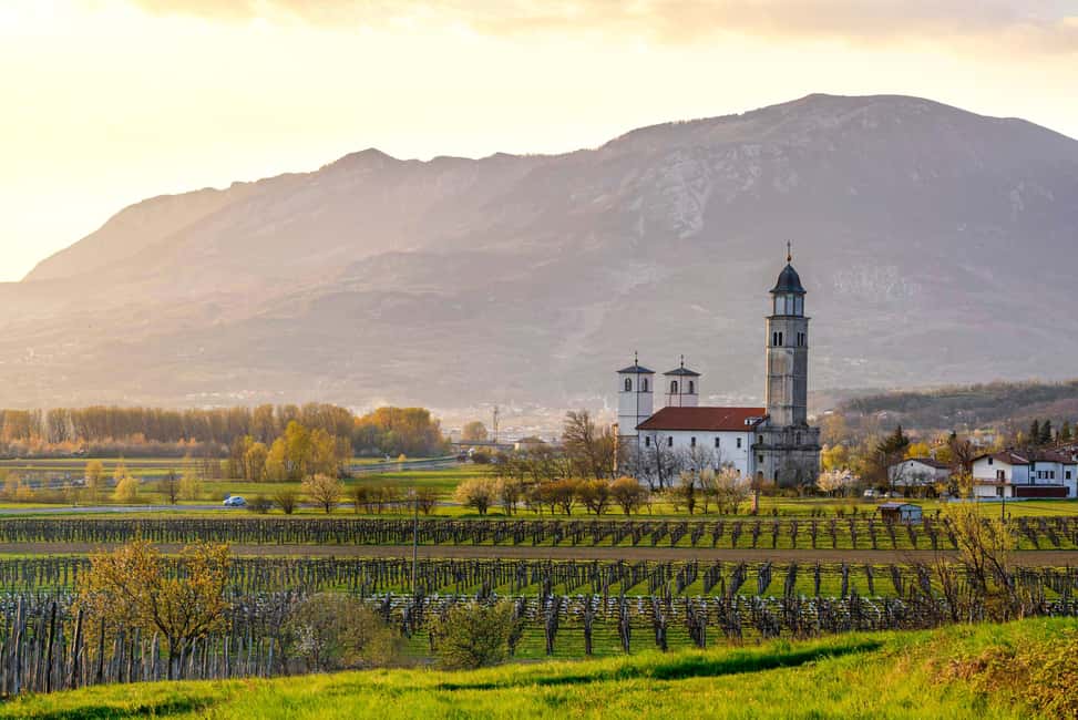 Bild Nr. 1 von Von Ljubljana aus: Vipava Valley Wine Express Tour Aktivität in Ljubljana, hochgeladen vom Anbieter