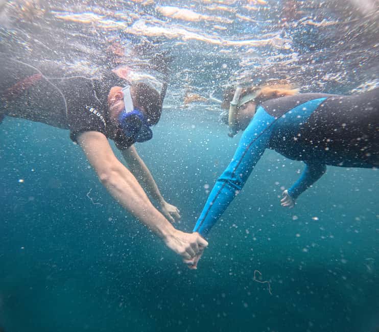 Obraz nr 8 z atrakcji Teneryfa: wycieczka snorkelingowa w siedlisku żółwi w Adeje, przesłany przez organizatora