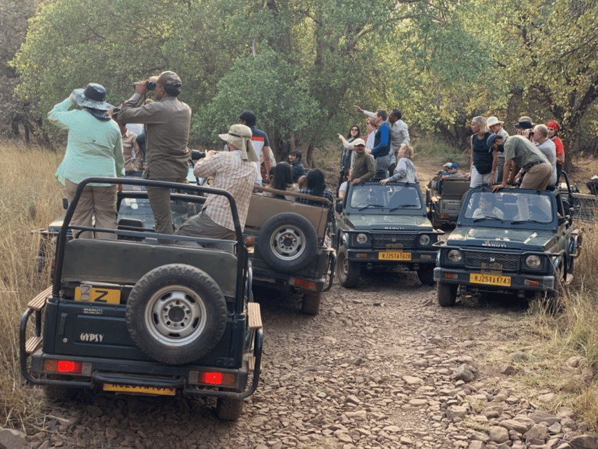 image n.1 of New Delhi: Jim Corbett National Park Safari (Tiger) Spotting activity in Rajasthan, uploaded by supplier