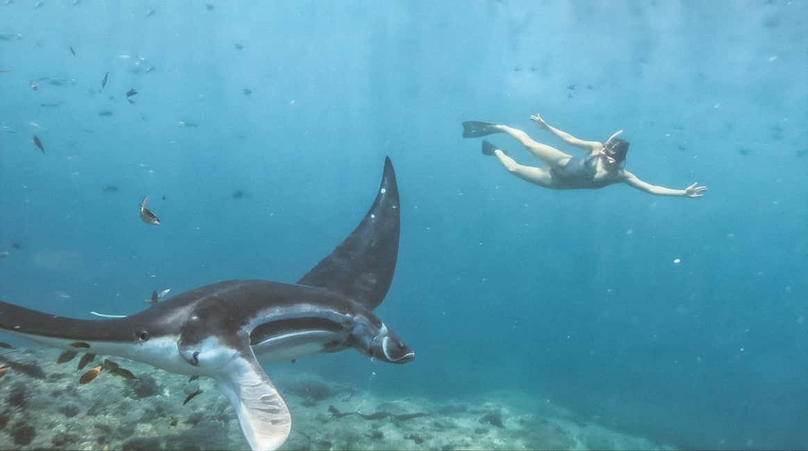 image n.10 of Nusa Penida Island: Manta Point Snorkeling & West Coast Tour activity in Batoemadeg, uploaded by supplier