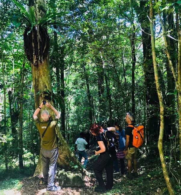 Bild Nr. 9 von Antananarivo: 2-tägige Tour zum Andasibe-Nationalpark Aktivität in Antananarivo, hochgeladen vom Anbieter