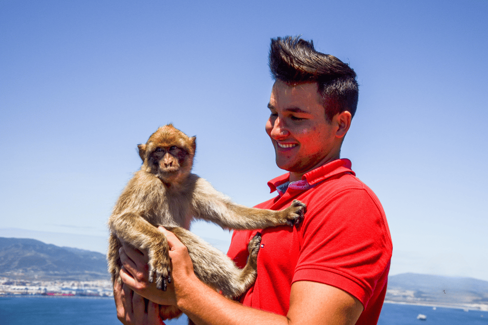 imagen n.º 4 de Desde Málaga: Excursión de un día a Gibraltar actividad en Gibraltar, subida por el proveedor
