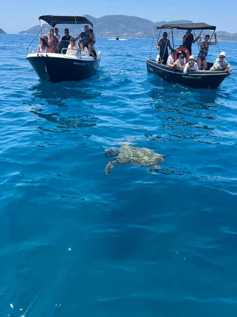 image n.21 of Zakynthos: Laganas Bay, Myzithres & Turtles Speedboat Tour activity in Kalamaki, uploaded by supplier