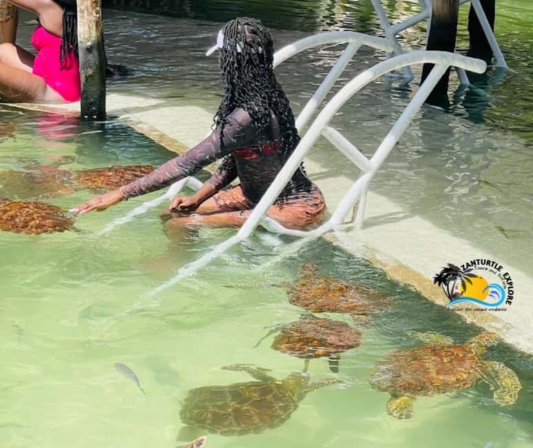 image n.3 of Nungwi: Swimming with Turtles at The Lagoons Zanzibar activity in Zanzibar City, uploaded by supplier