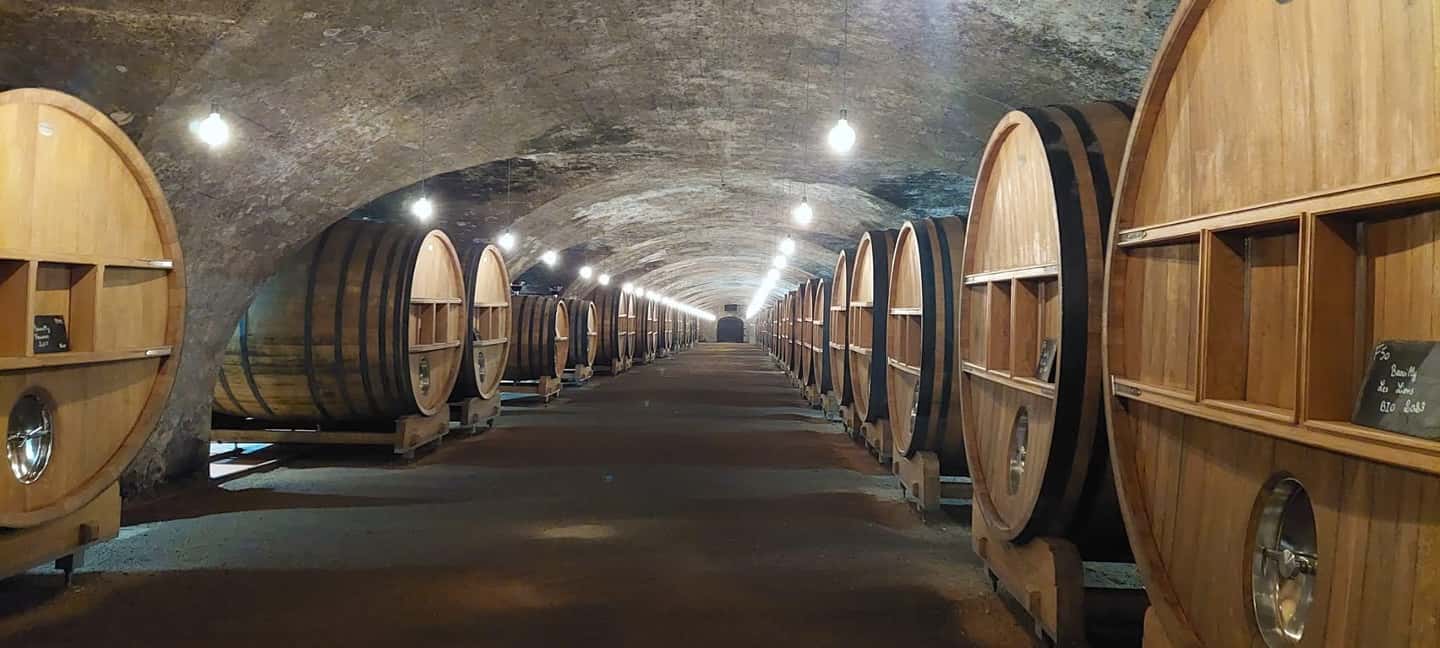 image n.14 of From Lyon : Beaujolais - Pérouges Full Day Shared Trip activity in Villefranche-sur-Saone, uploaded by supplier