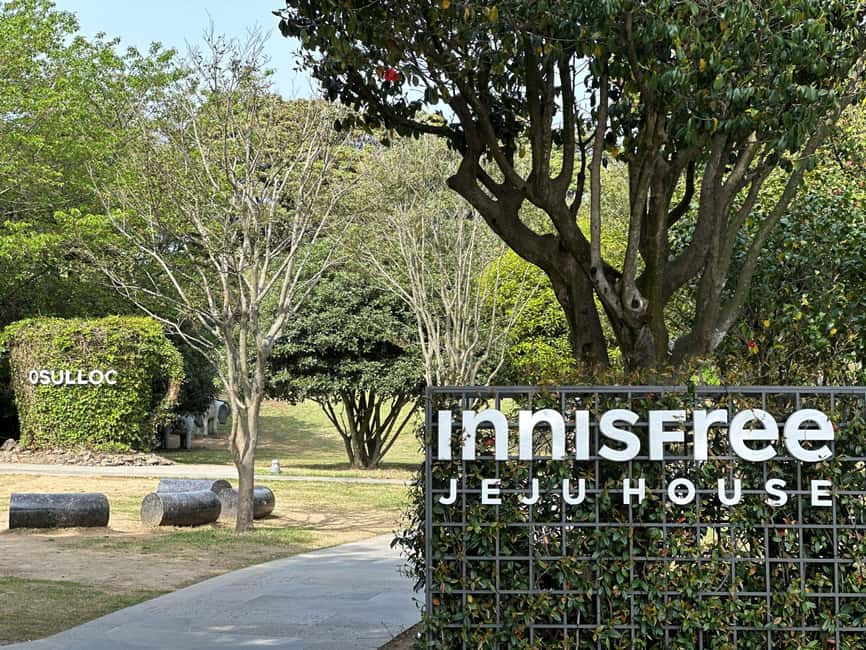 image n.15 of West Jeju Cherry Blossom Strawberry Picking Small Group Tour activity in Jeju, uploaded by supplier