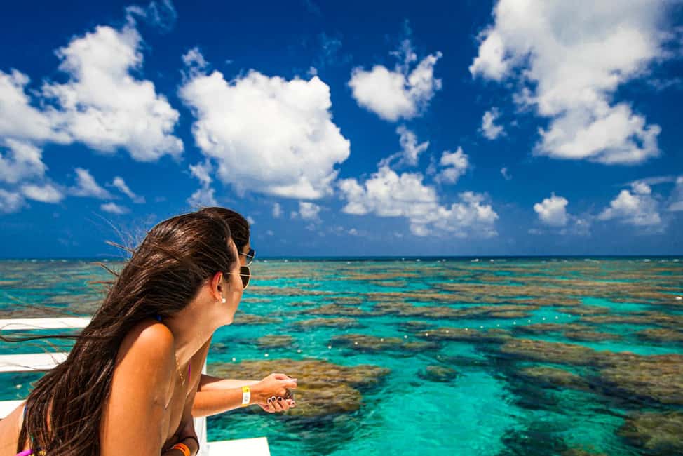 image n.16 of Maracajau Parrachos Reef: Mask and Snorkel swim adventure activity in Natal, uploaded by supplier