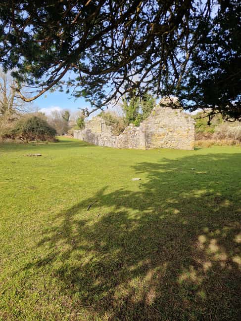 Obraz nr 13 z atrakcji Killarney: Rejs wycieczkowy na wyspę Innisfallen, jeziora Killarney w Munster, przesłany przez organizatora