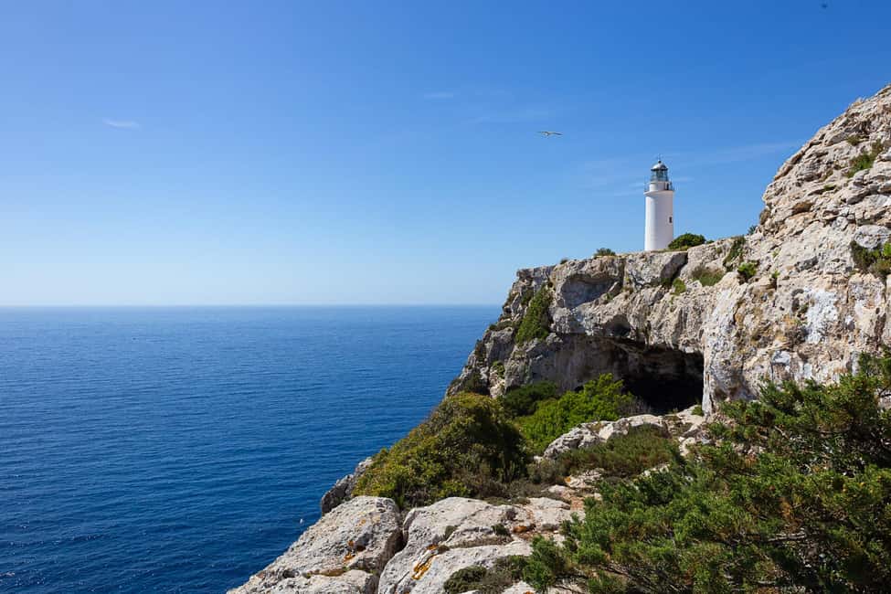 Image N°31 de Ibiza : croisière premium d'une journée à Formentera en catamaran activité à Sant Josep de sa Talaia, publiée par le prestataire