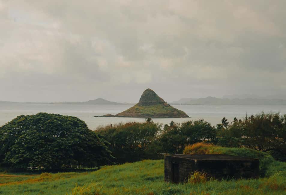 Immagine nº 13 di Oahu: tour di spedizione nella giungla all'aperto di Kualoa attività a Kaneohe, caricata dal fornitore