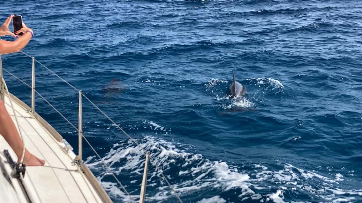 imagem n.10 de Sal, Cabo Verde: Meio dia no veleiro Cuba Libre atividade em Santa Maria, Cabo Verde, carregada pelo fornecedor