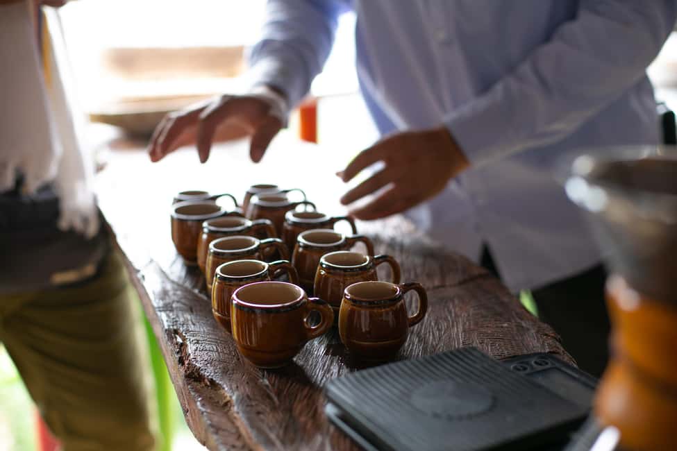 imagem n.3 de Medellín: Tour do café, chegada a cavalo e cana-de-açúcar atividade em Medellín, carregada pelo fornecedor
