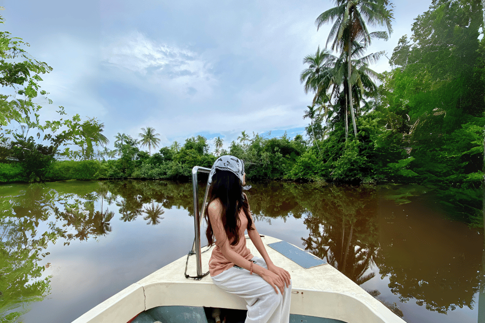 image n.3 of Bongawan River Cruise: Proboscis Monkey & Fireflies Viewing activity in Bongawan, uploaded by supplier